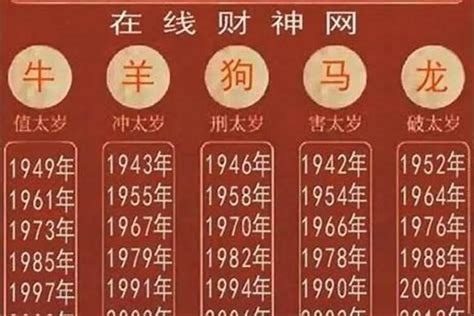 81年属相 不想動 休憩空間